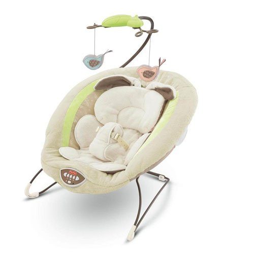 Tahoe Truckee Baby Equipment Rental Bouncy Seat